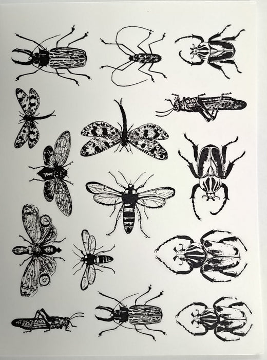 Decal Insects ANIN-Black