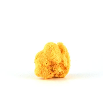 Sponges Silk