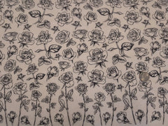 Elan Transfer Long Stem Roses