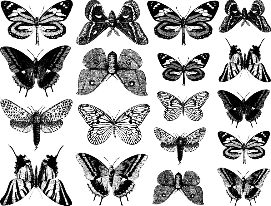 Decal Sm Butterfly ANBF-Black