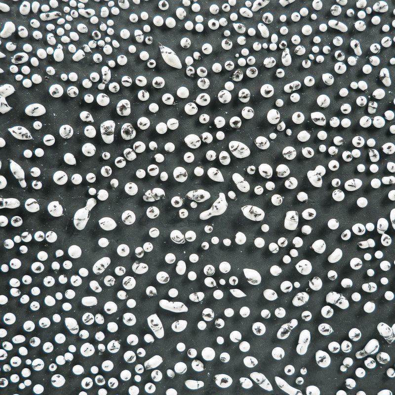 CR 12 White Speckled Crawl Pint