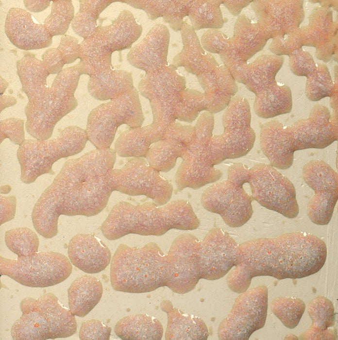 CR 17 Flux Crawl Pint