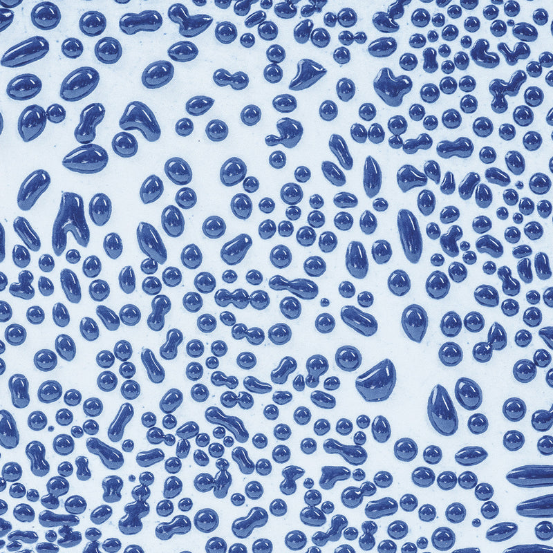 CR 20 Dark Blue Crawl Pint