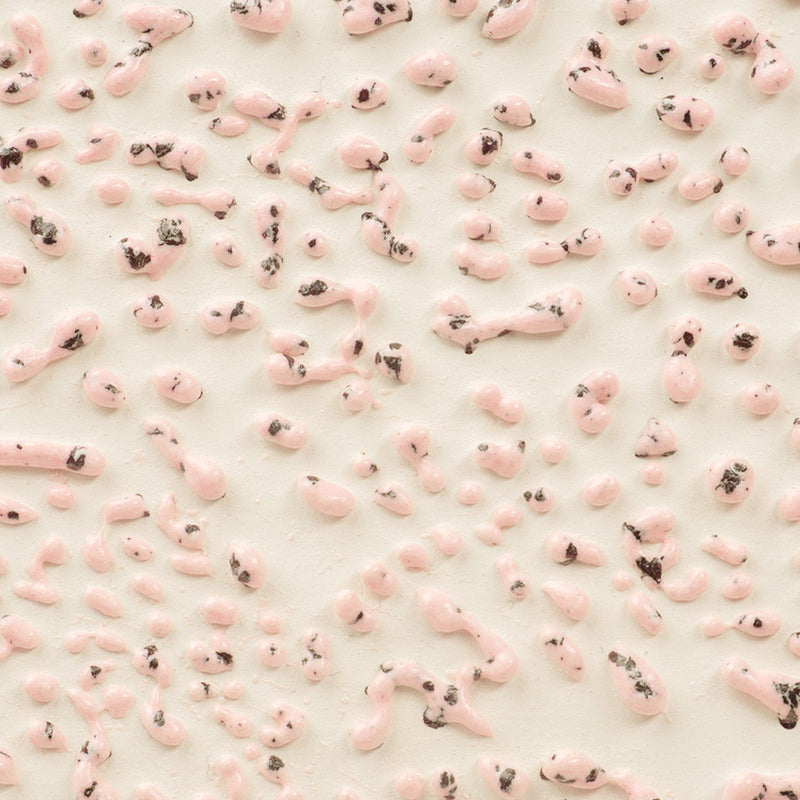CR 51 Speckled Pink Crawl Pint