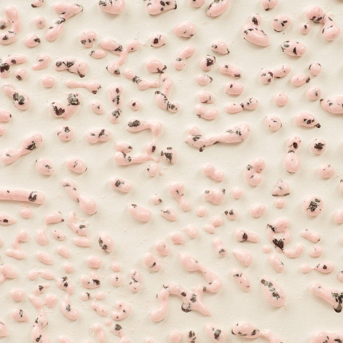 CR 51 Speckled Pink Crawl Pint