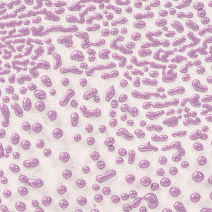 CR 54 Purple Crawl Pint