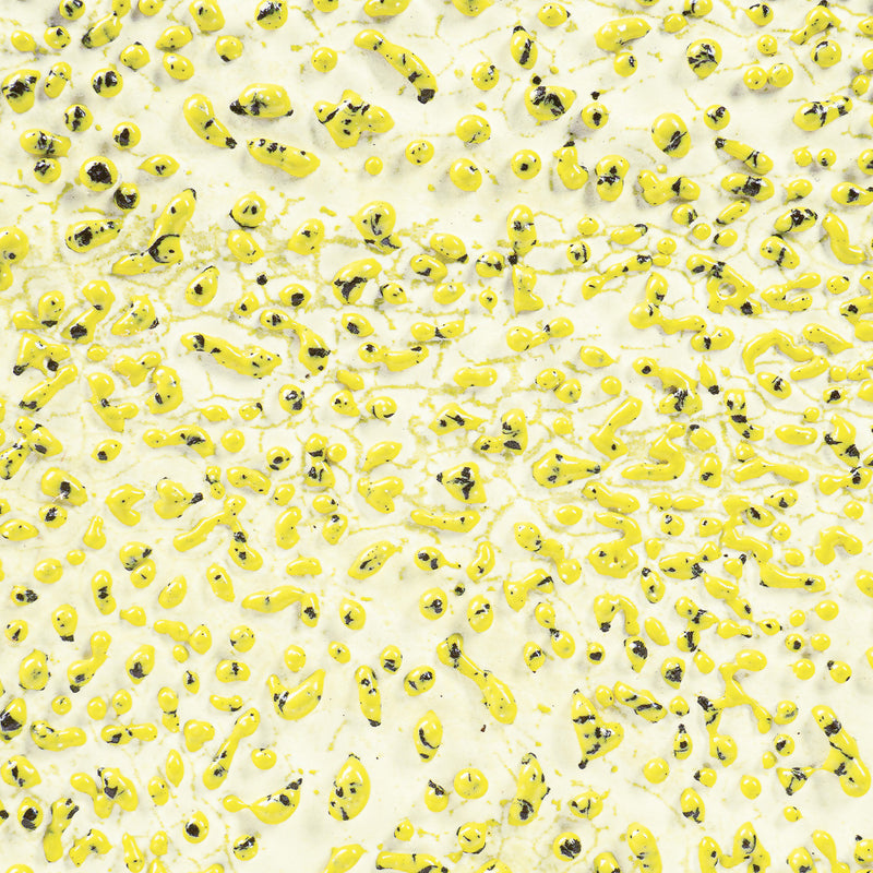 CR 61 Speckled Yellow Crawl Pint