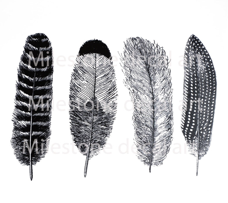 Decal Lg Feathers ANFH-BLK