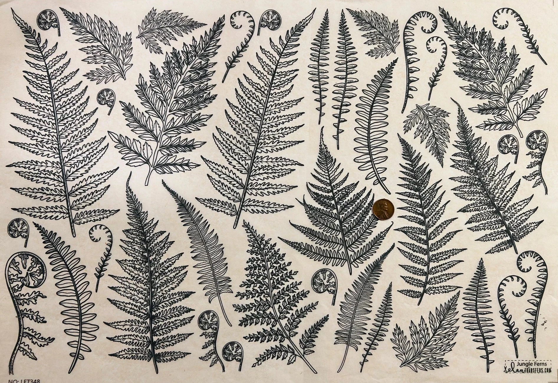 Elan Transfer Jungle Ferns