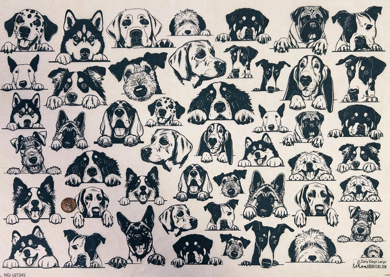 Elan Transfer Zany Dogs Large