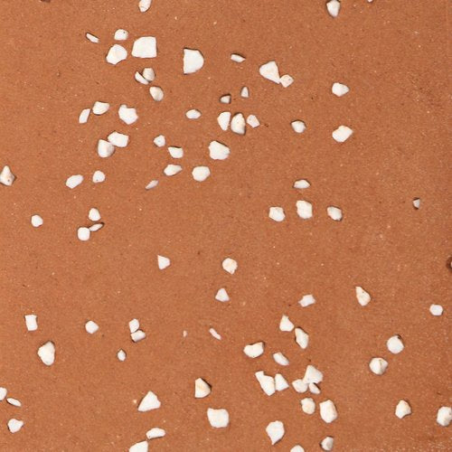 Flecks + Specks - Cloud