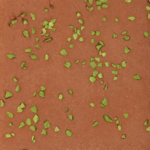 Flecks + Specks - Parakeet