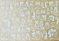 Elan Transfer Owls
