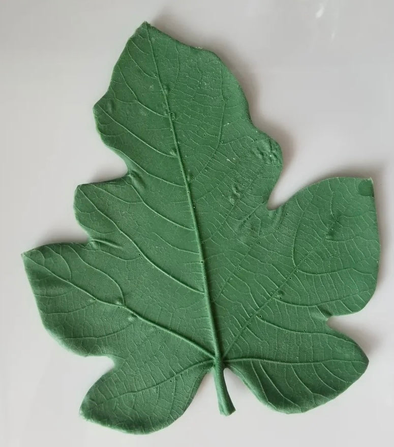 LP147 Medium Fig Rubber Leaf Form