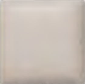 Dry Birch White WCD511 1 lb