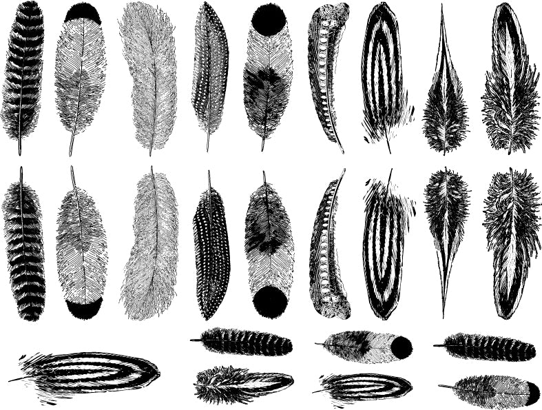 Decal Small Feathers ANSMFH-Blu