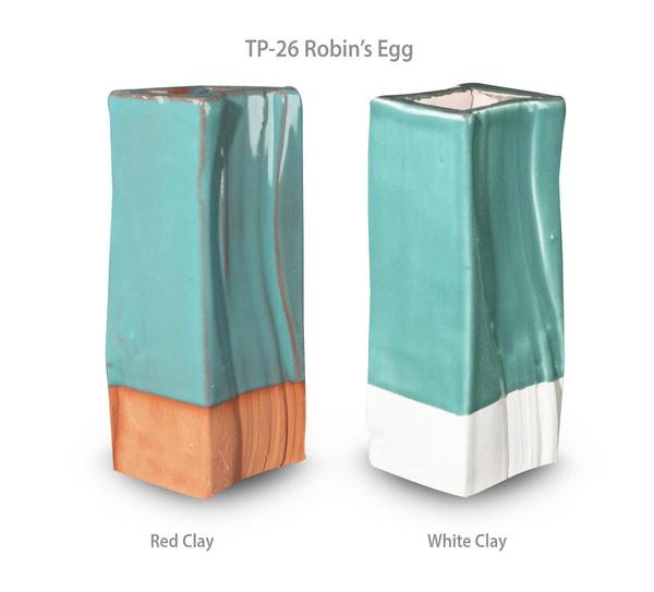 TP26 Robin's Egg Pint