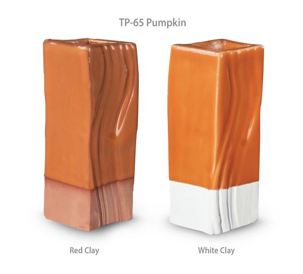 TP65 Pumpkin Pint