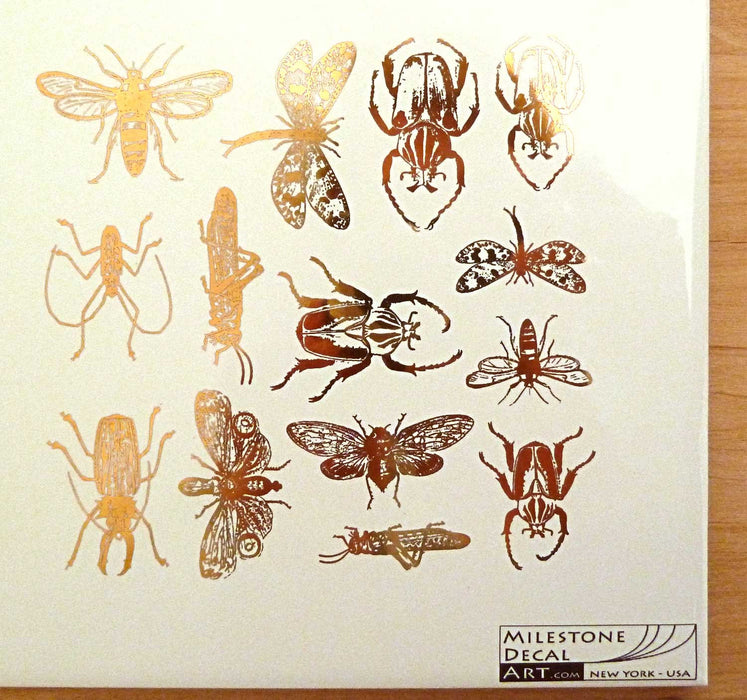 Decal Insects ANIN-Copper