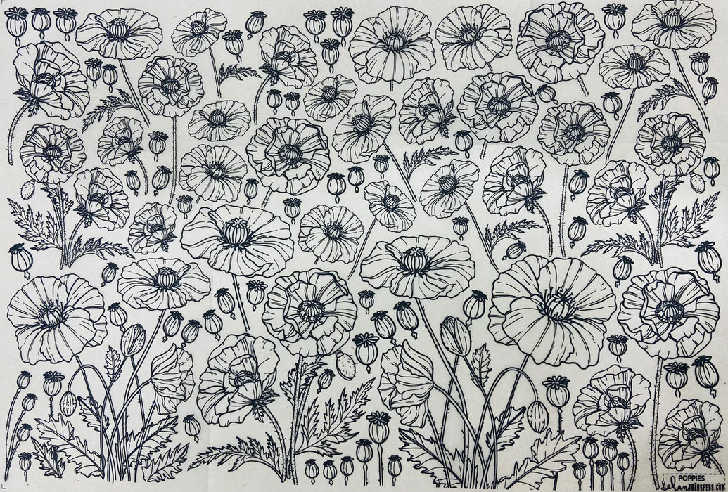 Elan Transfer Poppies