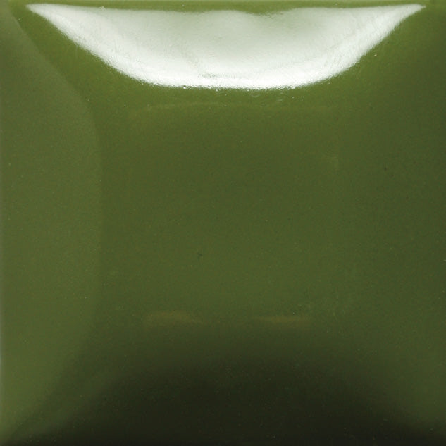 SC39 Army Surplus PT