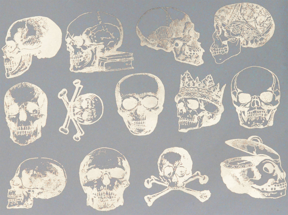 Decal Skull ANSK-Mica White