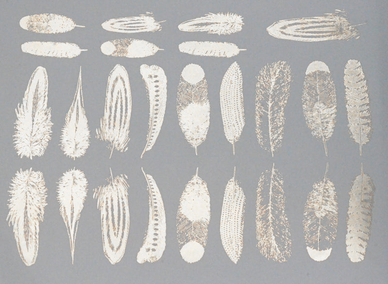 Decal Small Feathers ANSMFH-Pla