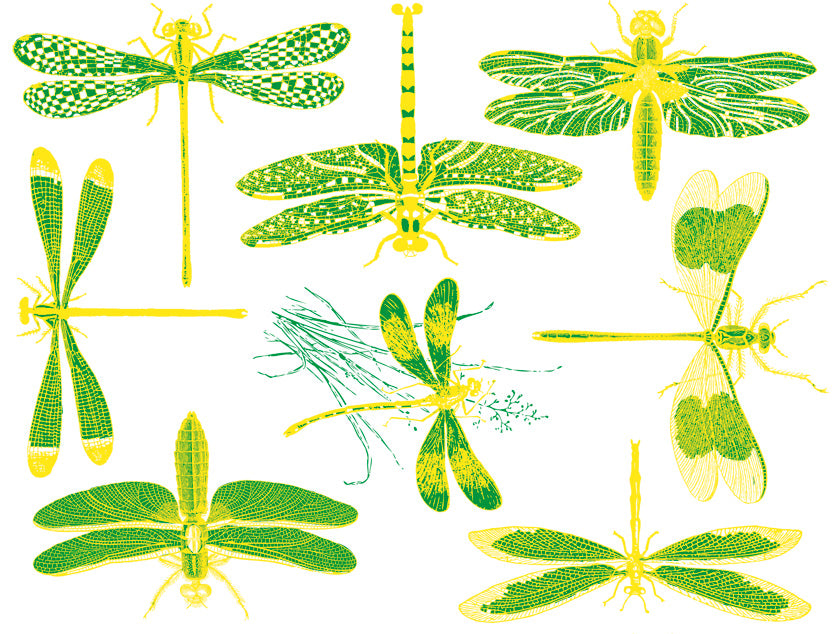 Decal 2CDF Green Dragonflies