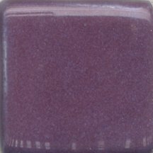 MBG053 Pansy Purple