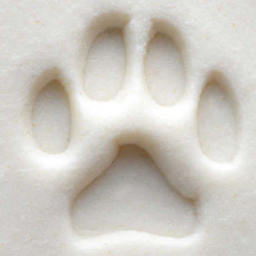 MKM SCS-001 Dog Paw