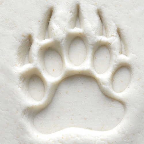 MKM SCM-151 Bear Claw
