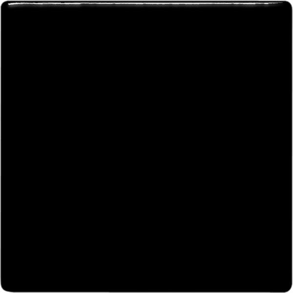 TP1 Coal Black Pint