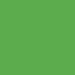 Mason Stain #6263 - Bright Green (Victorian Green)