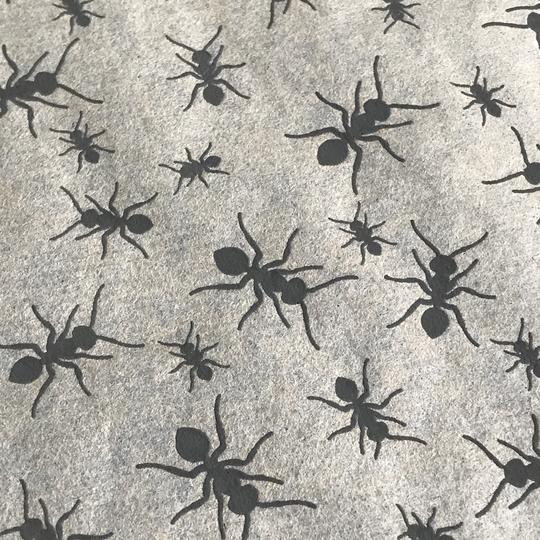 Elan Transfer Ants