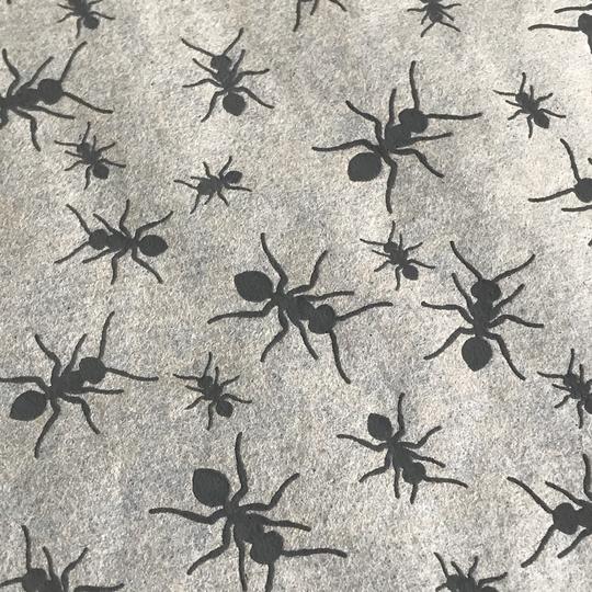 Elan Transfers - Ants