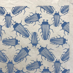 Elan Transfer Beetles