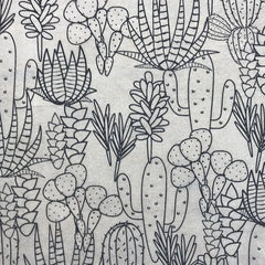 Elan Transfer Cacti