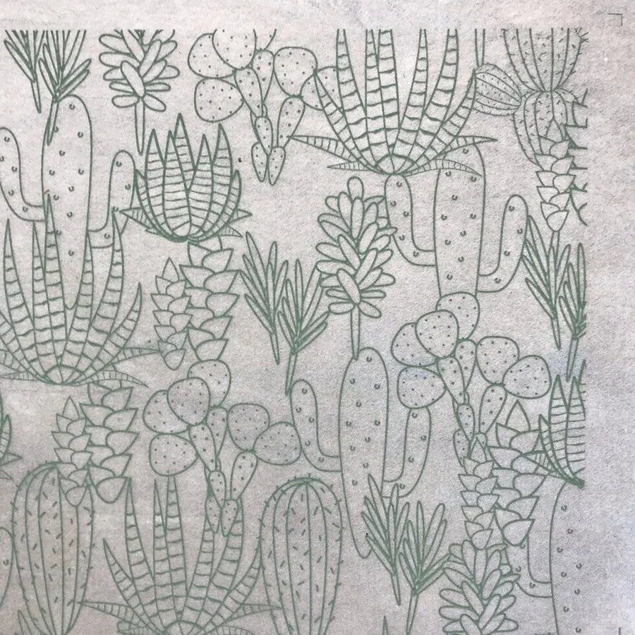 Elan Transfer Cacti