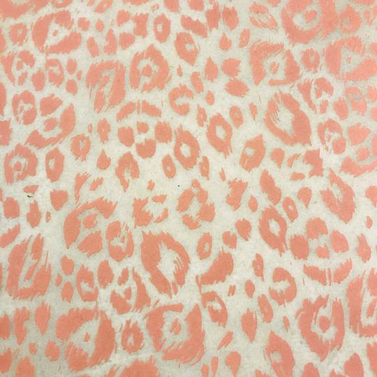 Elan Transfer Cheetah