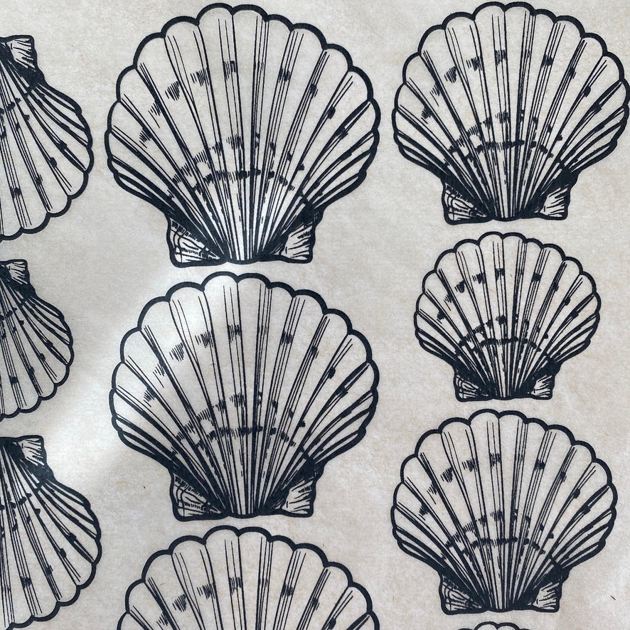 Elan Transfer  Clam Shells