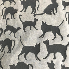 Elan Transfer Cats