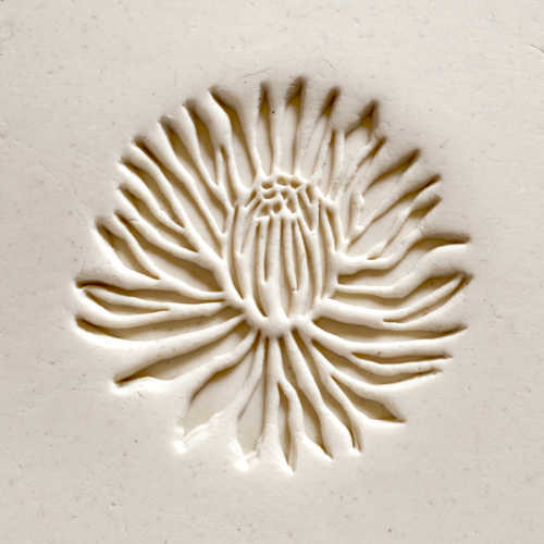 MKM SCXL-021 Chrysanthemum