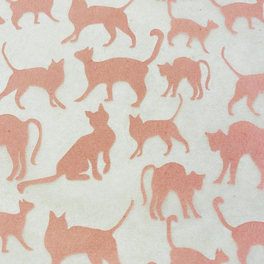 Elan Transfer Cats
