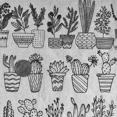 Elan Transfer Potted Plants