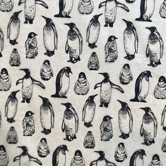 Elan Transfers - Penguins