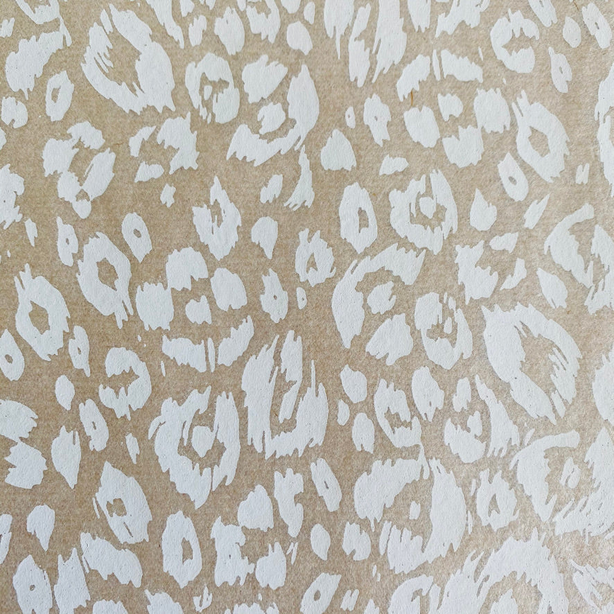 Elan Transfer Cheetah