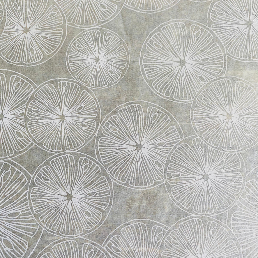Elan Transfer Slices