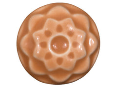 C65 Tangelo Celadon Mid Fire Glaze
