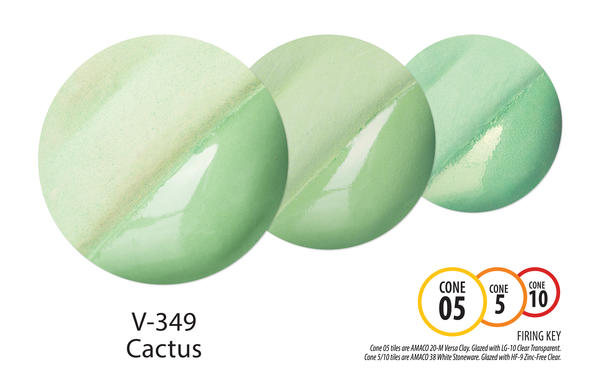 V349 Cactus