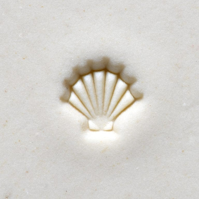 MKM SMR-046 Scallop Shell